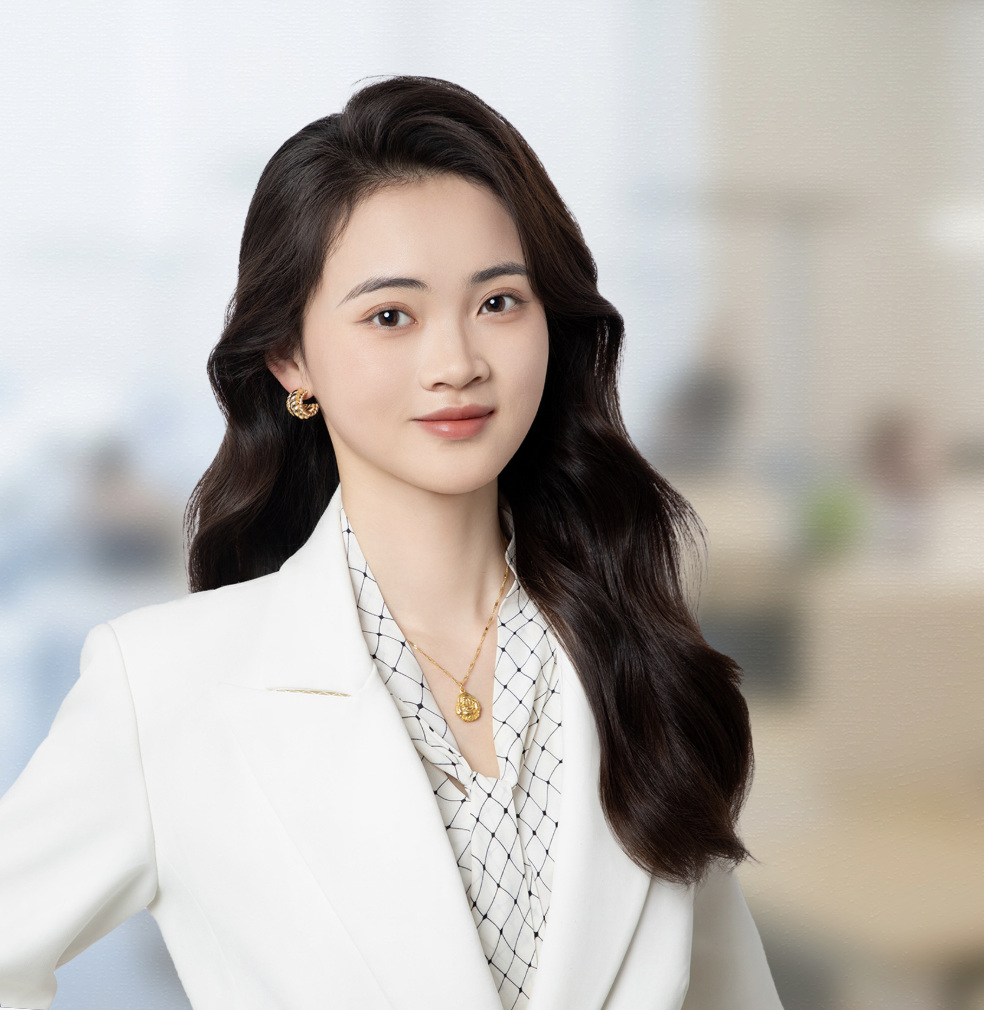 Wang Di, Beijing DHH Law Firm